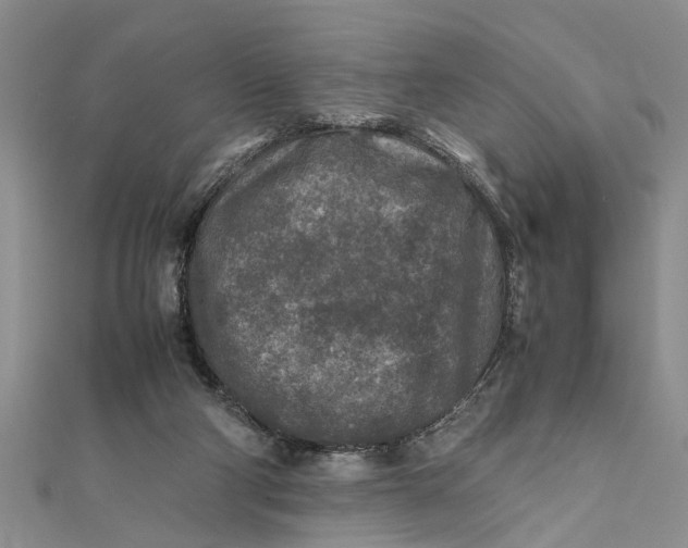 X0000112170114200908281348