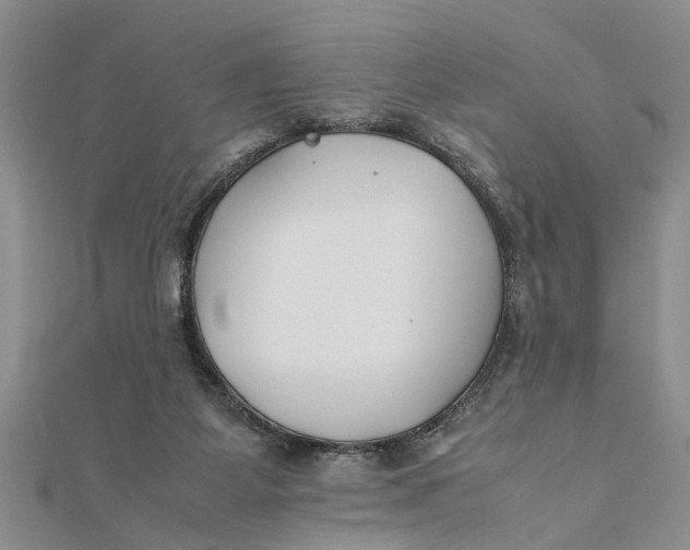 X0000112170115200908281348