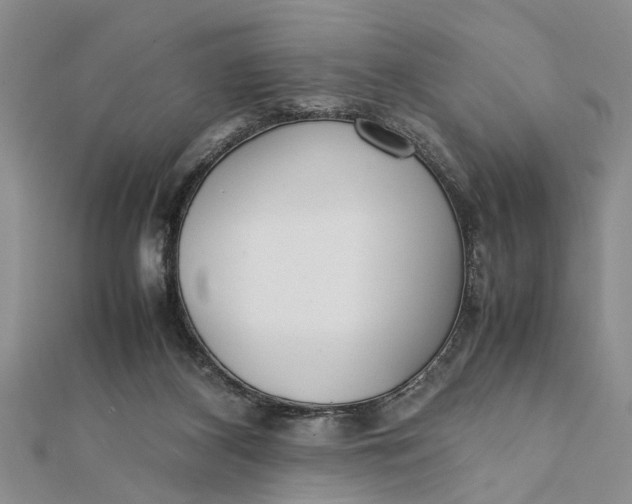 X0000112170116200908281347