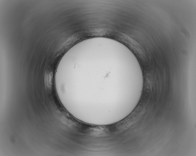 X0000112170118200908281347