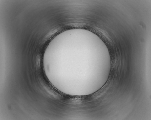 X0000112170120200908281347