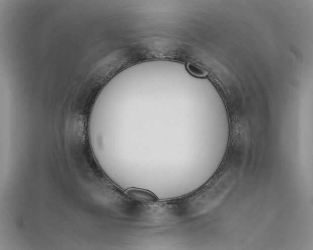 X0000112170121200908281347