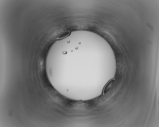 X0000112170123200908281347