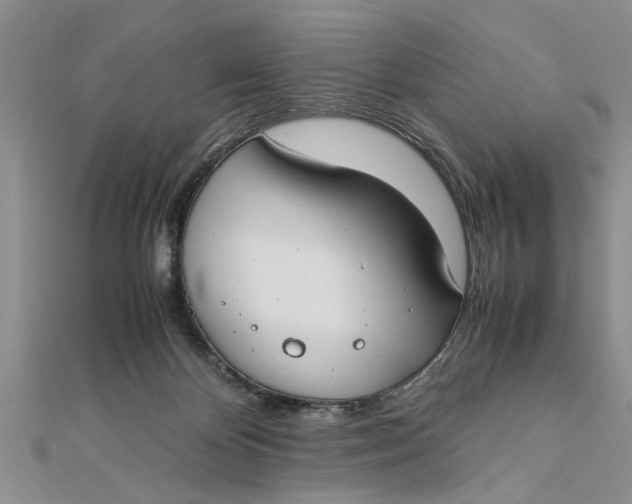 X0000112170124200908281347