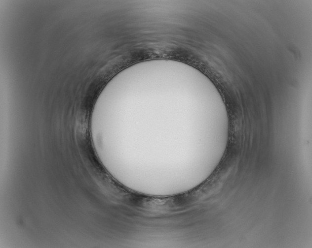 X0000112170129200908281347