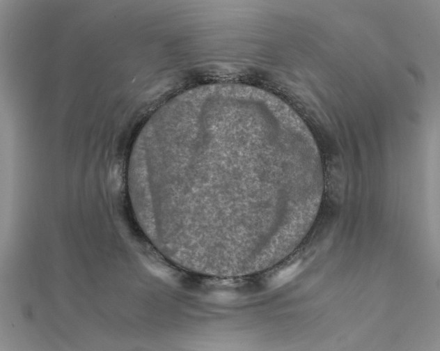 X0000112170131200908281347