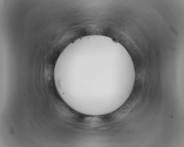 X0000112170133200908281347