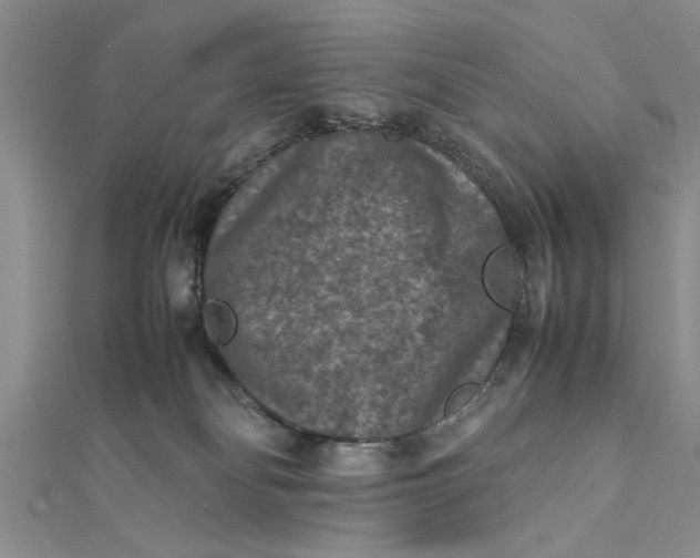 X0000112170134200908281347