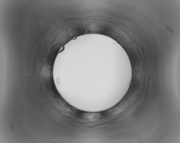 X0000112170135200908281347