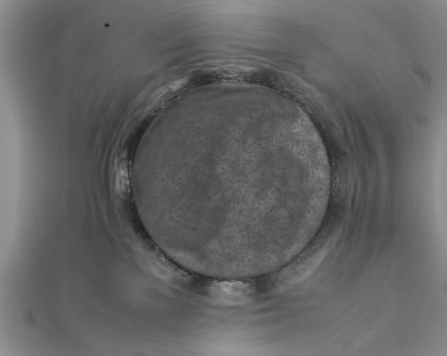 X0000112170137200908281347