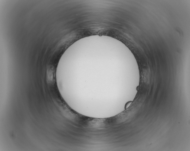 X0000112170138200908281347