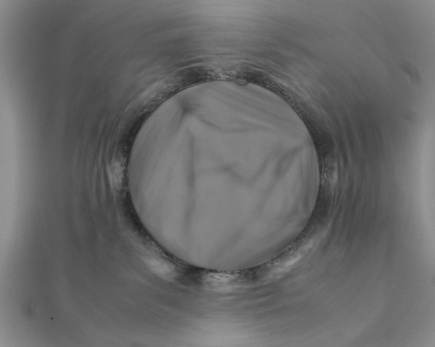 X0000112170139200908281347