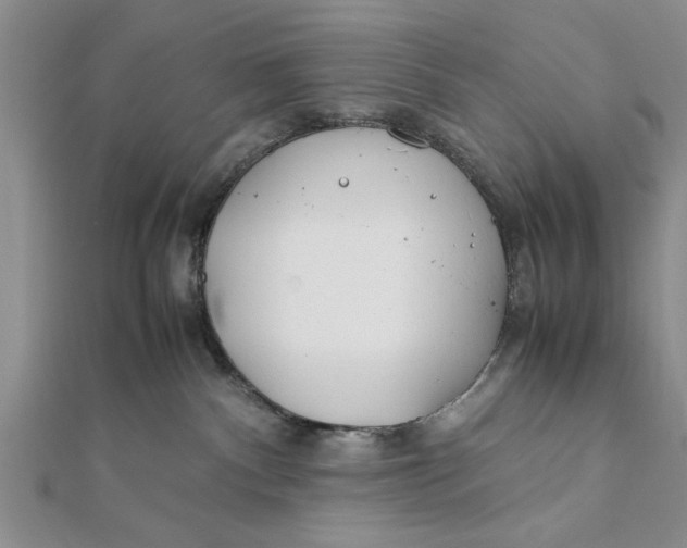 X0000112170140200908281347