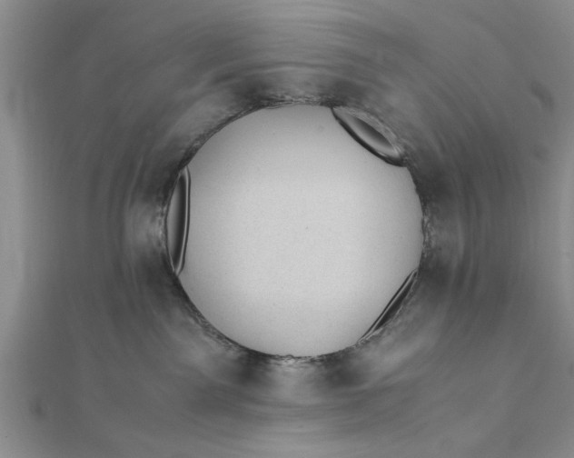 X0000112170141200908281347