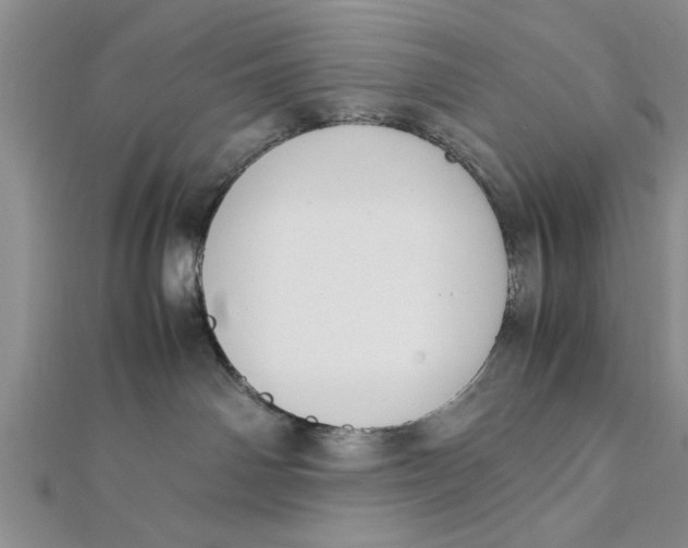 X0000112170142200908281347