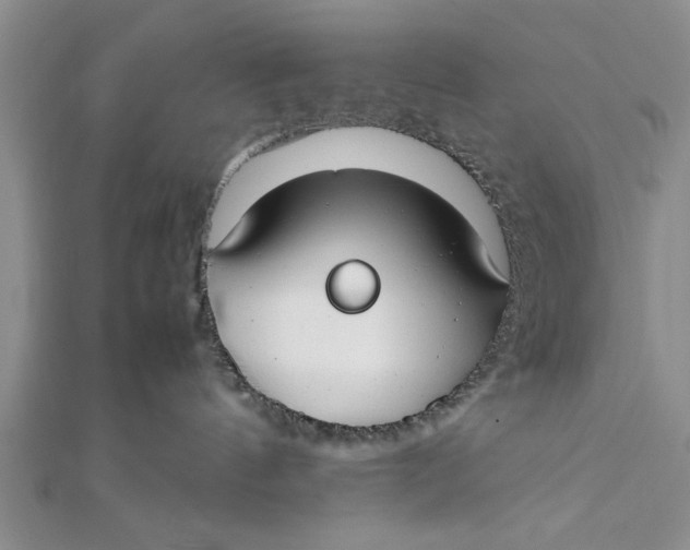 X0000112170144200908281347