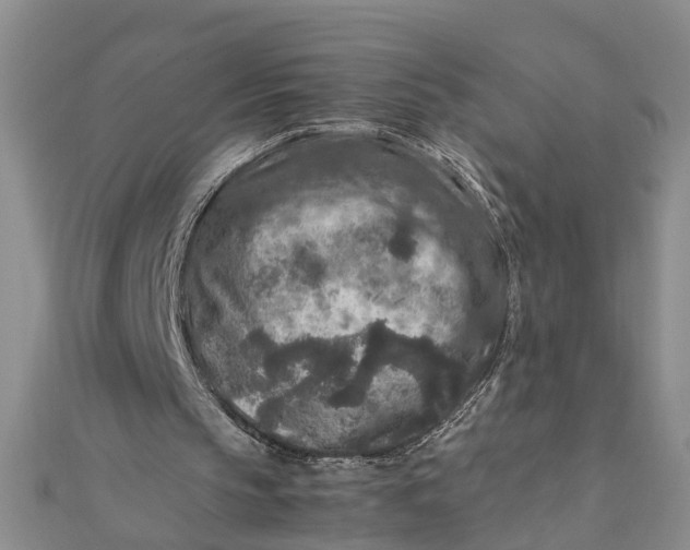 X0000112170145200908281347