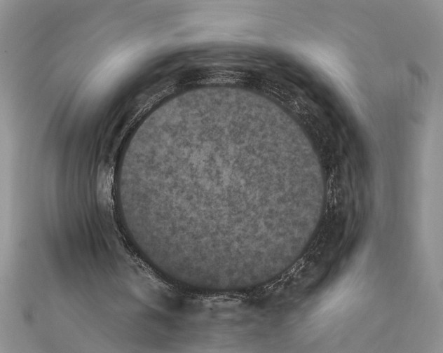 X0000112170146200908281347