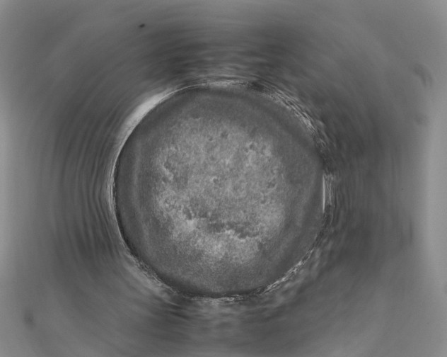 X0000112170147200908281347