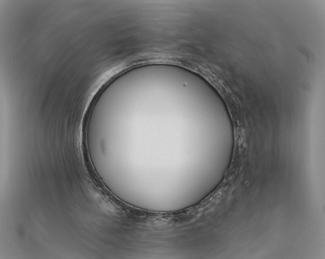 X0000112170148200908281347