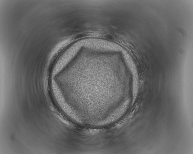 X0000112170149200908281347