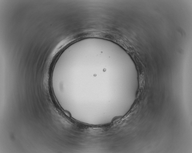 X0000112170150200908281347