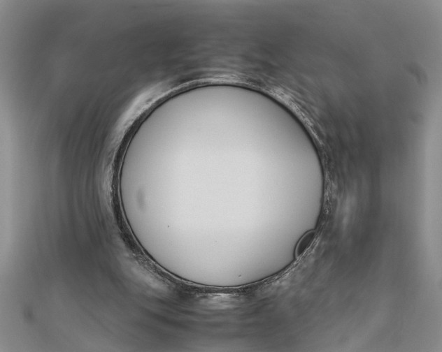 X0000112170151200908281347