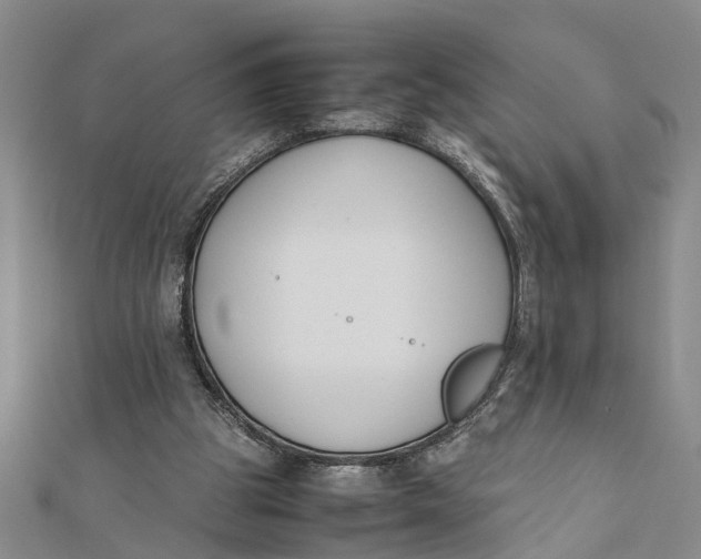 X0000112170153200908281347