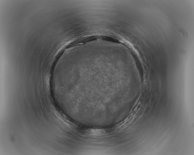 X0000112170154200908281347