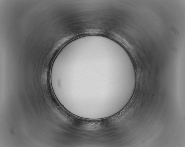 X0000112170155200908281347