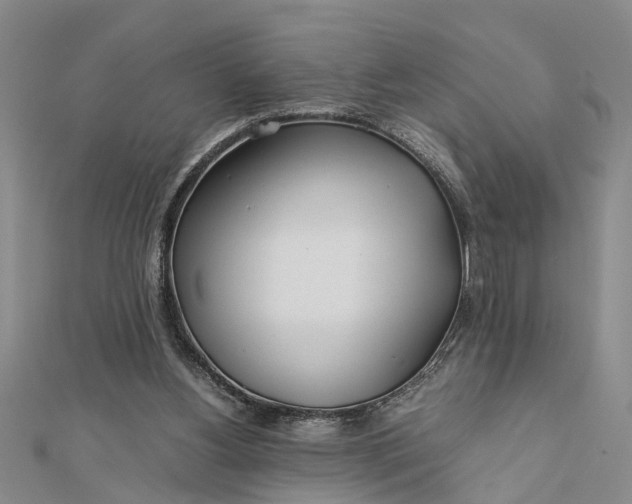 X0000112170156200908281347