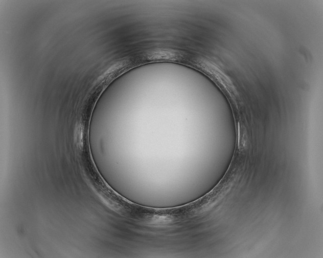 X0000112170157200908281347