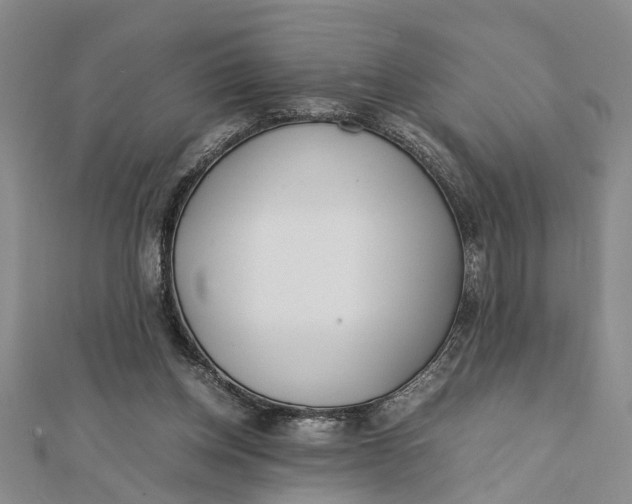 X0000112170158200908281347