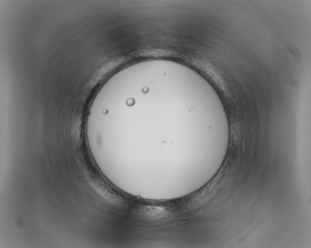 X0000112170159200908281347