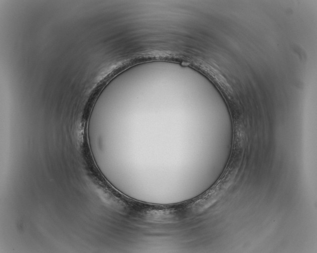 X0000112170160200908281347