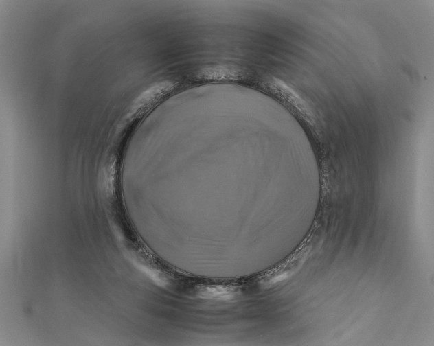 X0000112170163200908281347