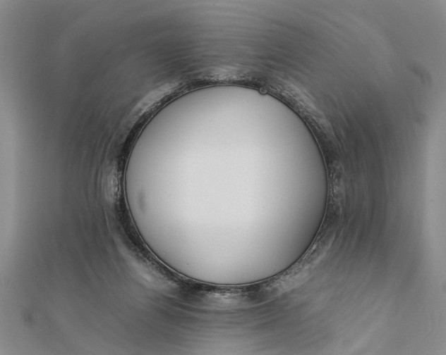 X0000112170164200908281347