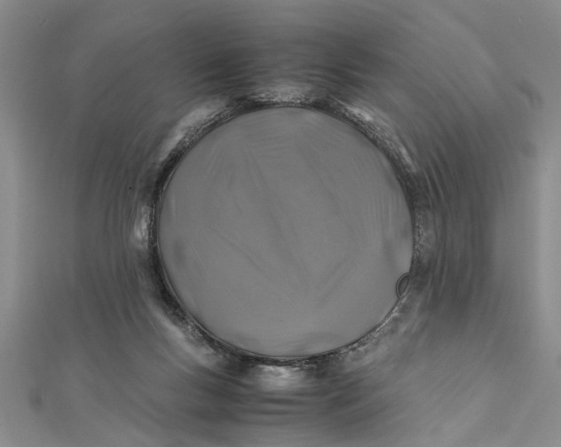 X0000112170167200908281347