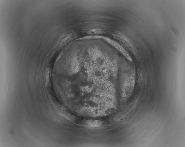 X0000112170169200908281347