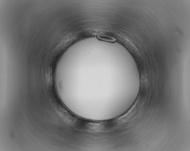 X0000112170170200908281347