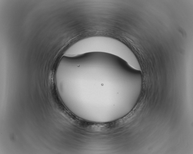 X0000112170172200908281347