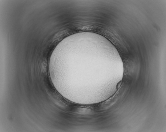 X0000112170175200908281347