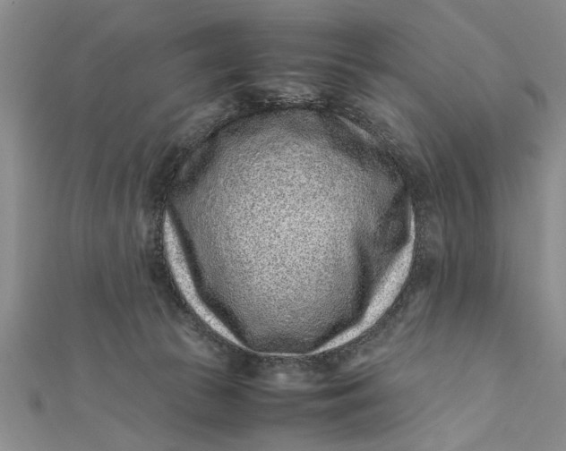 X0000112170177200908281347