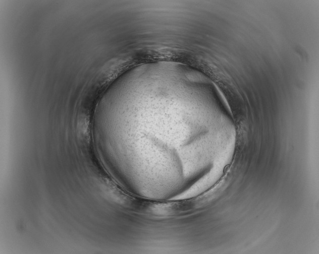 X0000112170178200908281347