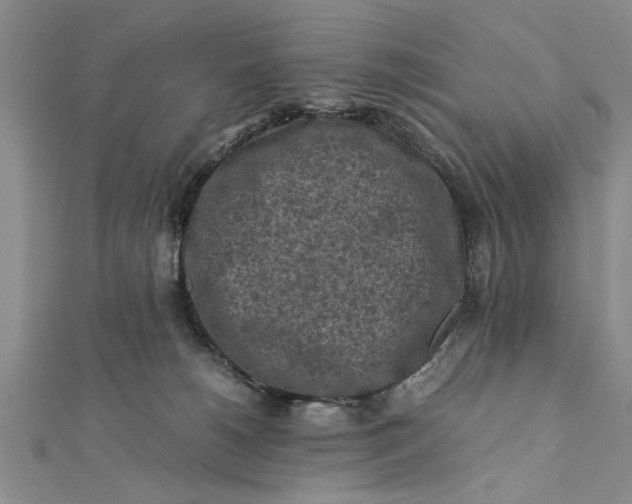 X0000112170180200908281347