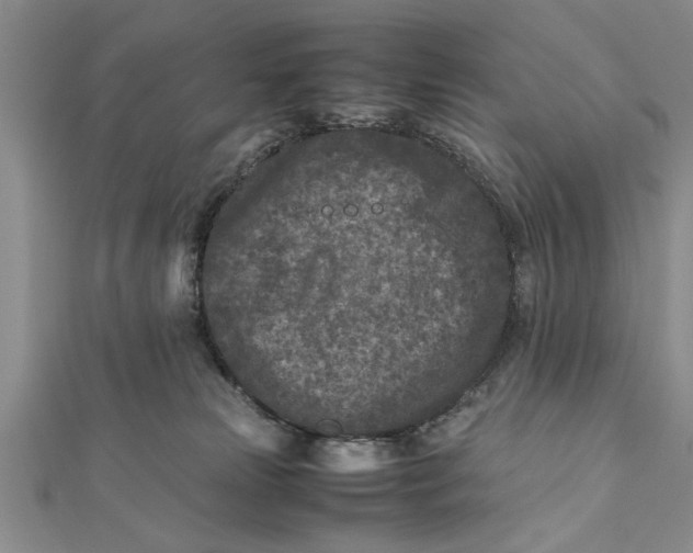 X0000112170181200908281347