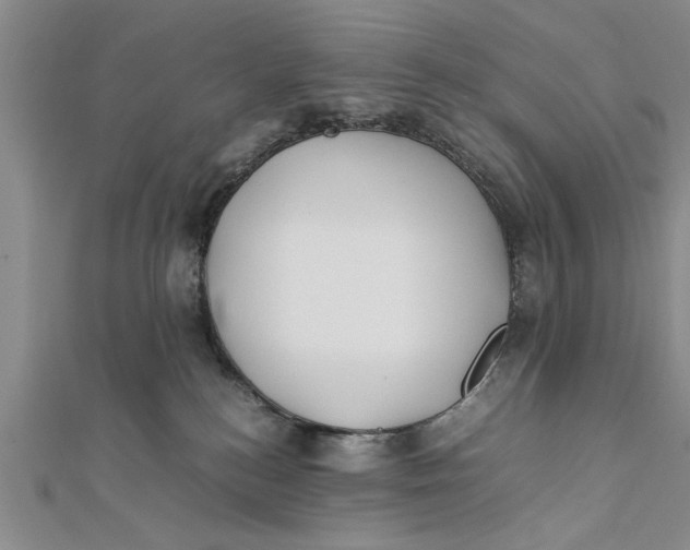 X0000112170184200908281347