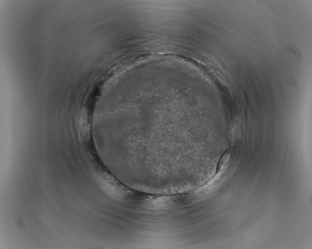 X0000112170186200908281347