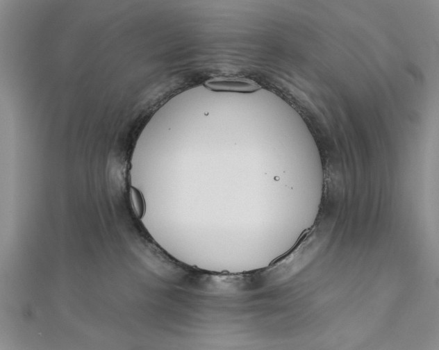 X0000112170188200908281347