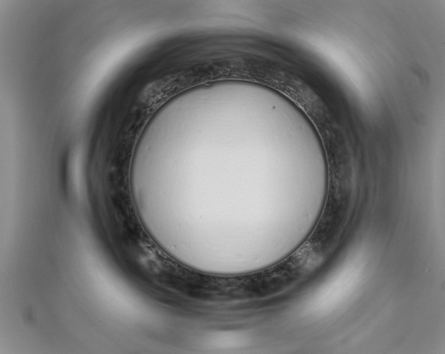 X0000112170189200908281347